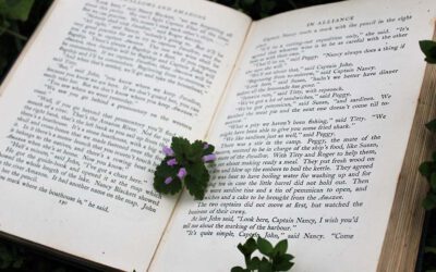 Literarische Sommertipps