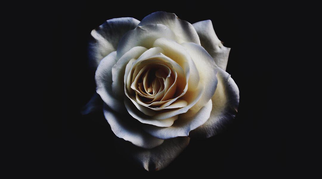 keb-ludwigsburg-akademie-sophie-scholl