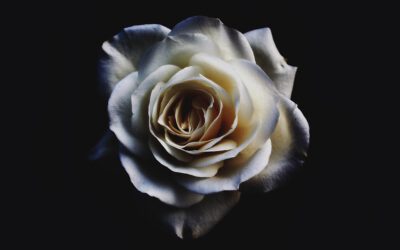 Sophie Scholl – Ihr Weg und ihre Verbindung mit der Region