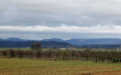 Drei Tage im Herbst von Tübingen nach Horb