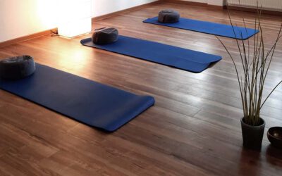 Feldenkrais – Bewusstheit durch Bewegung – Online