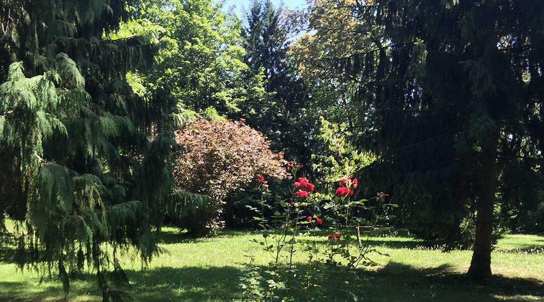 Mit den Psalmen unterwegs im Park