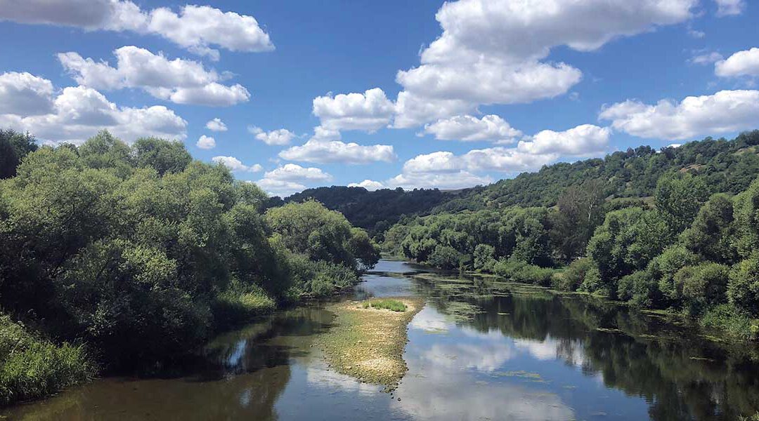 Waldbaden – Achtsamkeit im Wald
