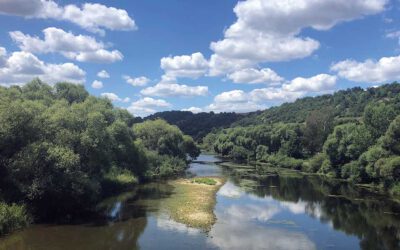 Waldbaden – Achtsamkeit im Wald
